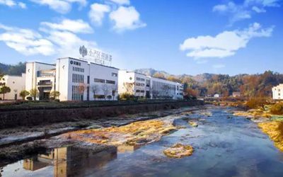 首页- 必发集团有限公司官方网站