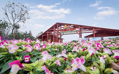 首页- 必发集团有限公司官方网站