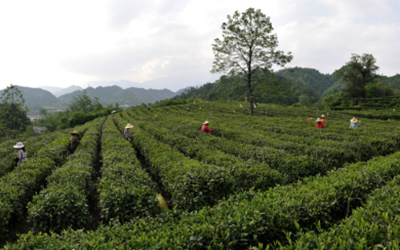 首页- 必发集团有限公司官方网站