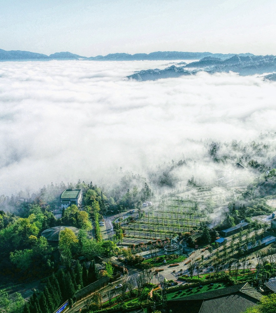 首页- 必发集团有限公司官方网站