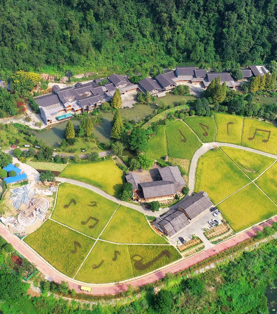 首页- 必发集团有限公司官方网站